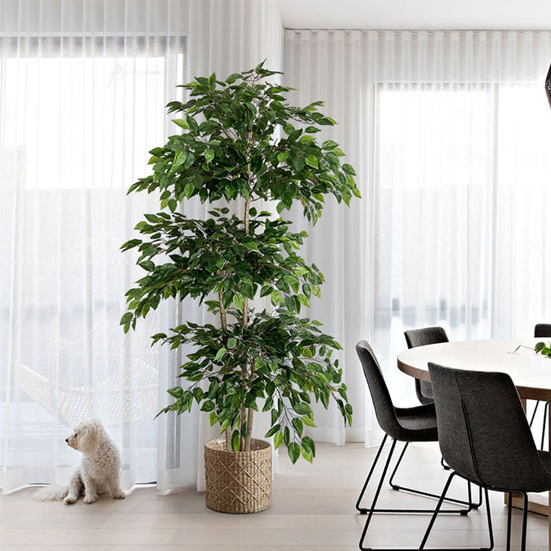 Ficus Lyrata Tree - 70in Ficus yapay ağaç büyük tropikal