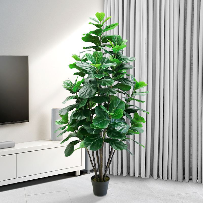 Ficus Lyrata Tree - 35-150cm Tropikal Ağaç Büyük Yapay Ficus