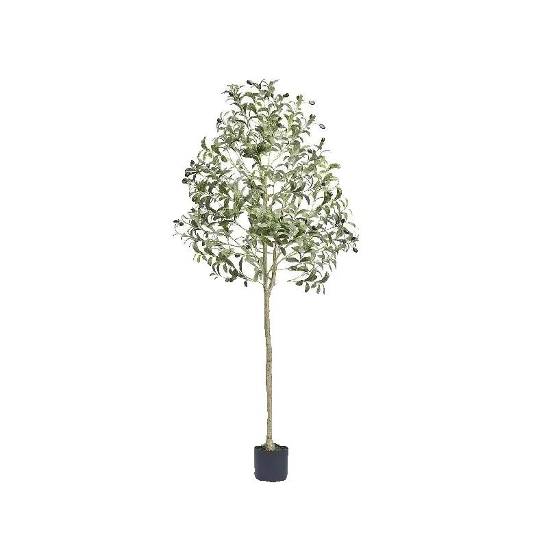 Dracaena Marginata - SucceBuy Yapay Zeytin Ağacı 4/5/6FT Yüksekliğinde