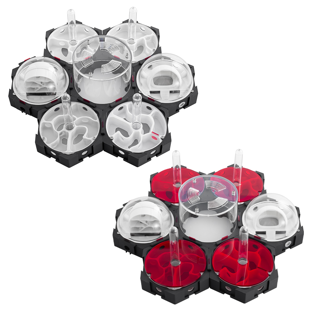 3D Baskı Karınca Yuvası Sonsuz - Begonia Rex incelemesi ve fiyatı