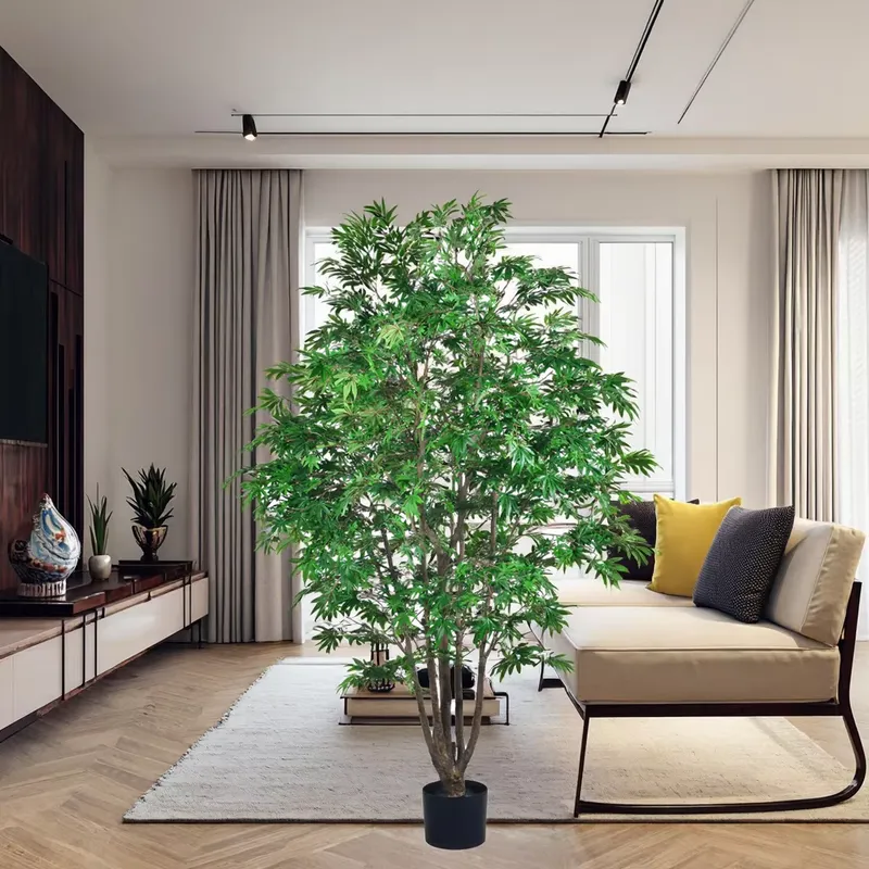 Trend Olan Toptan Yeşil Akçaağ - Dracaena Marginata incelemesi ve fiyatı
