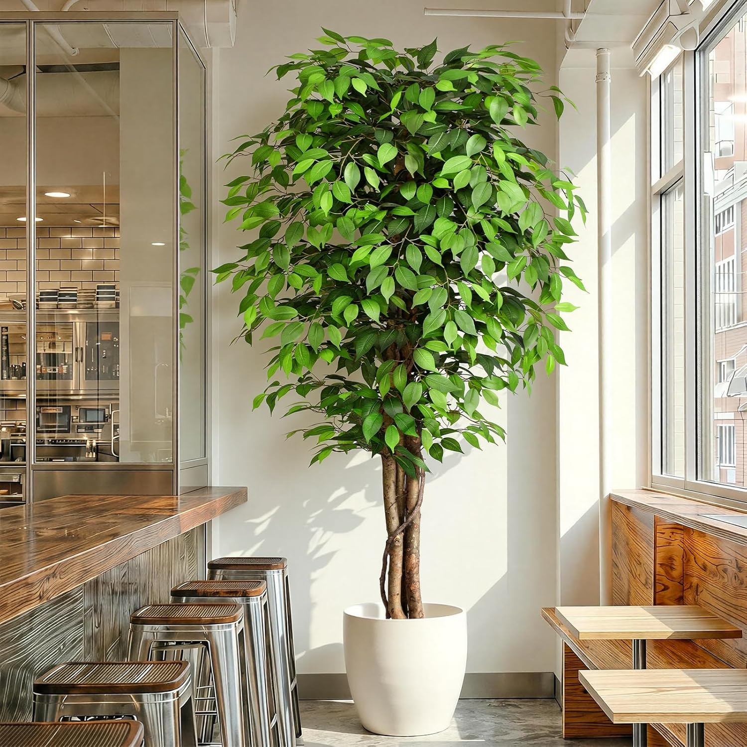 Gerçekçi Yapay Ficus Ağacı, Do - Monstera Adansonii incelemesi ve fiyatı