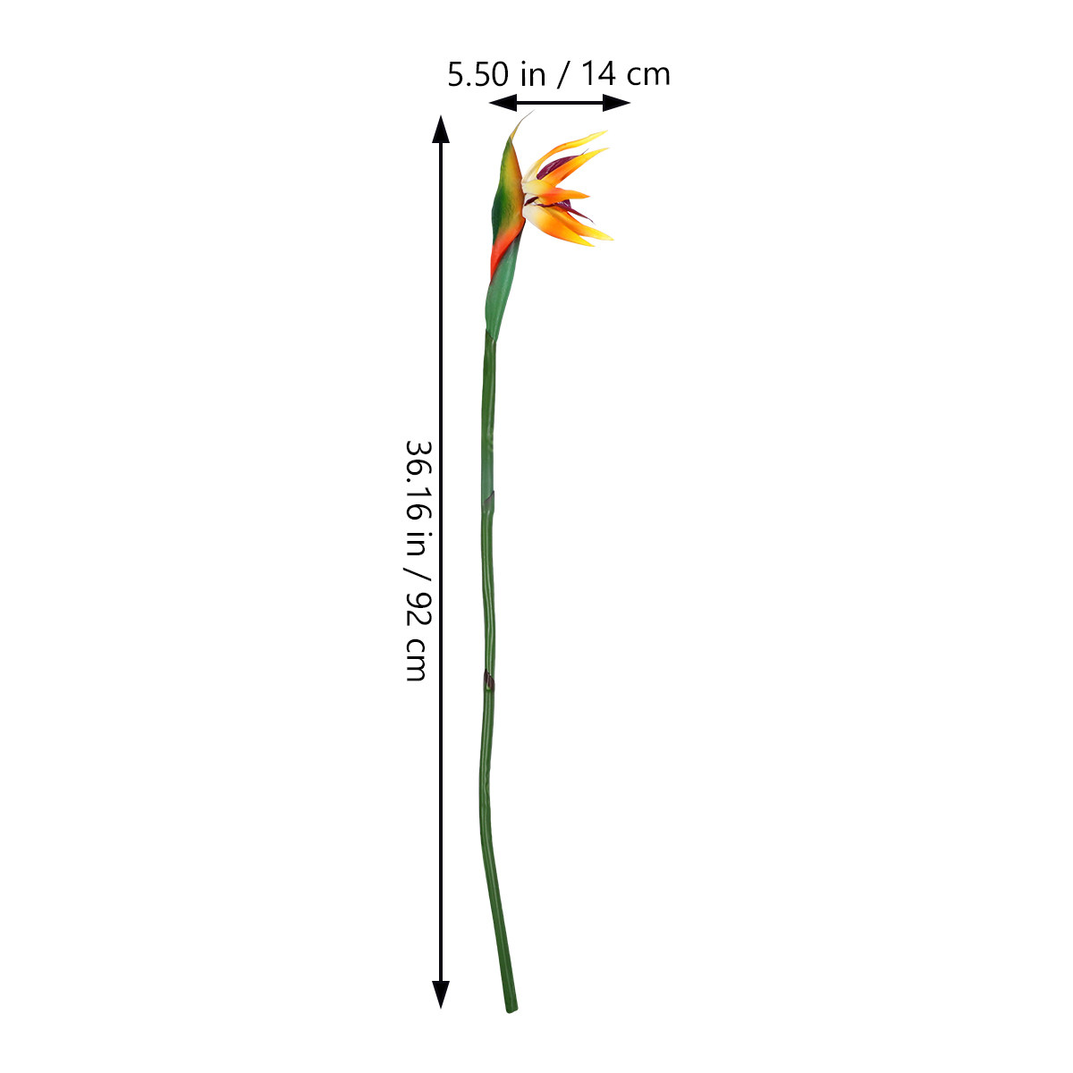 Yapay Cennet Kuşu Çiçeği, Gerç - Bird Paradise Strelitzia incelemesi ve fiyatı