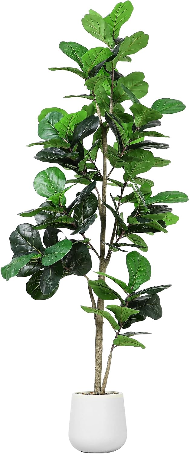 7ft Yapay Keman Yaprağı Ağacı  - Ficus Lyrata Tree incelemesi ve fiyatı