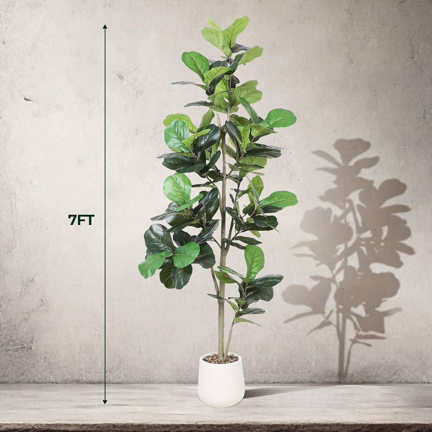 7ft Yapay Keman Yaprağı Ağacı  - Ficus Lyrata Tree incelemesi ve fiyatı