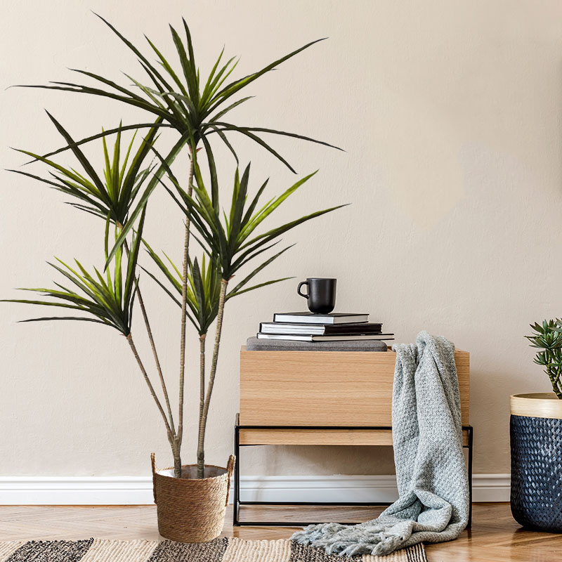 90-120cm büyük yapay Dracaena  - Dracaena Marginata incelemesi ve fiyatı