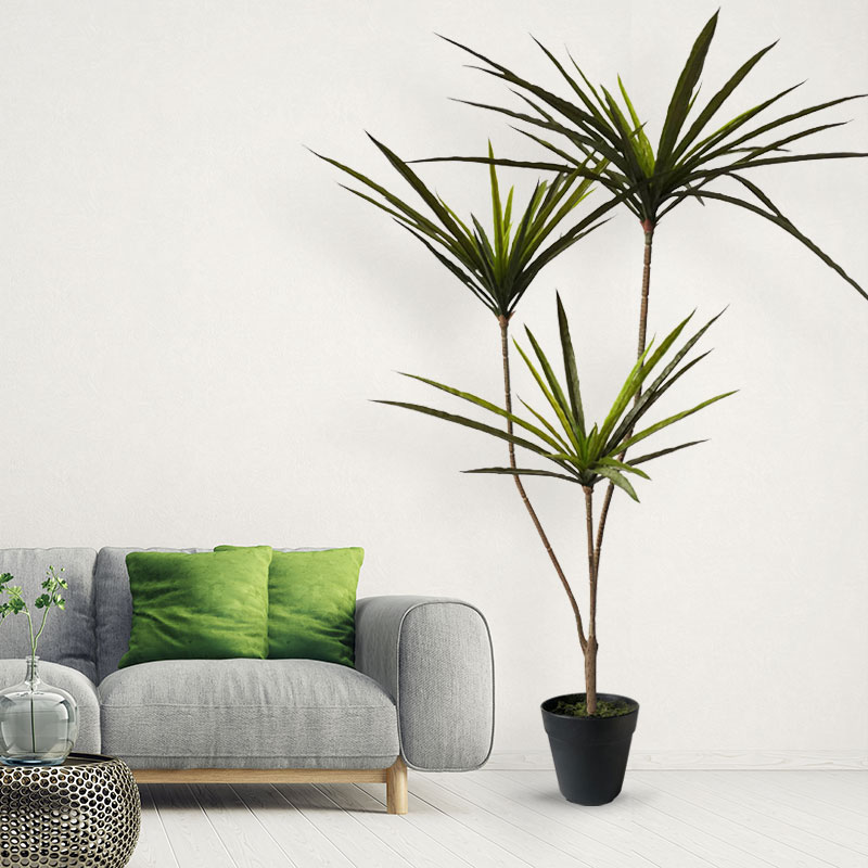 90-120cm büyük yapay Dracaena  - Dracaena Marginata incelemesi ve fiyatı