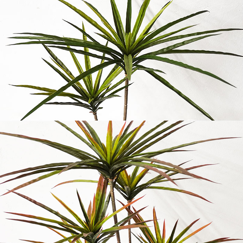 90-120cm büyük yapay Dracaena  - Dracaena Marginata incelemesi ve fiyatı