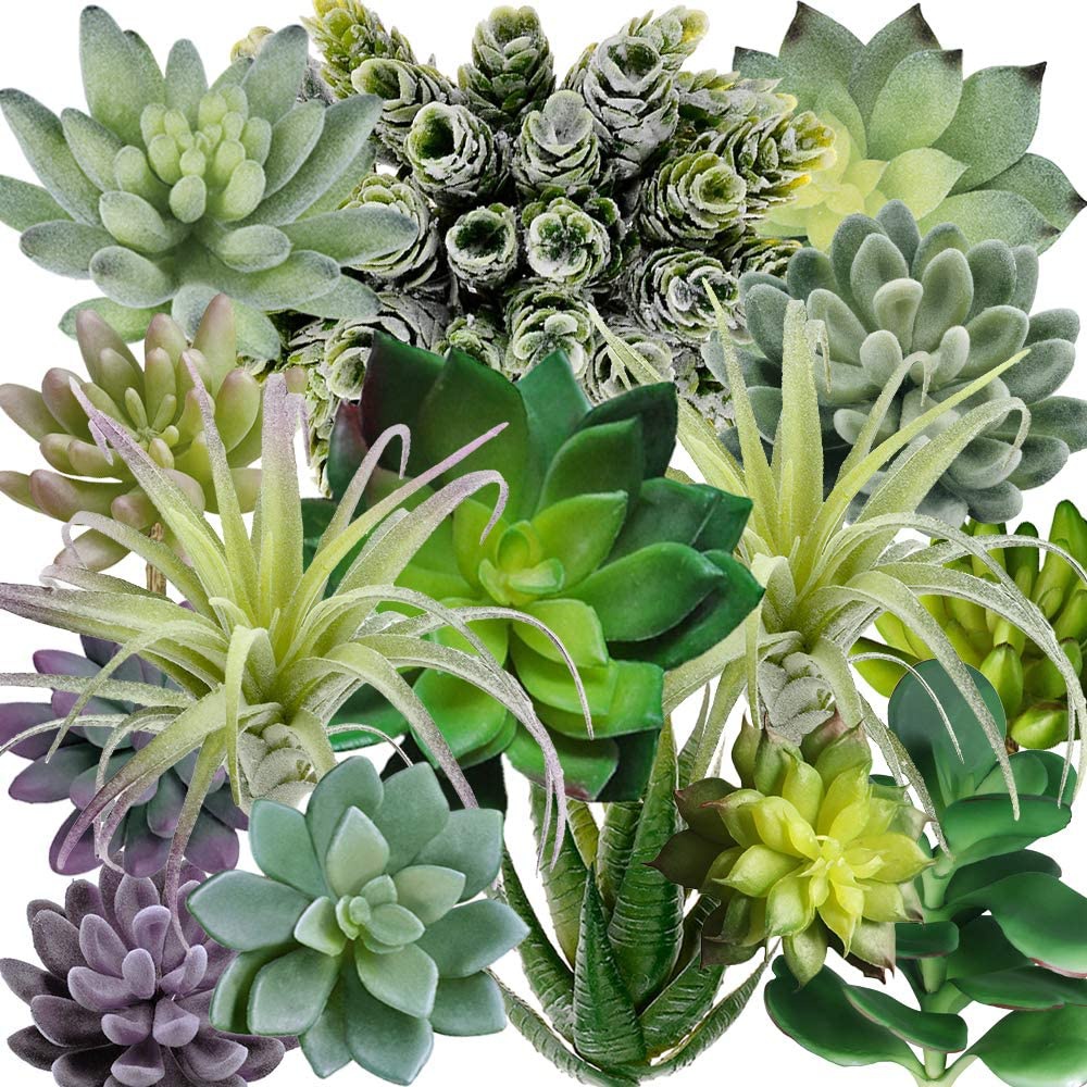 15'li Paket Çeşitli Yapay Suku - Echeveria Succulent incelemesi ve fiyatı