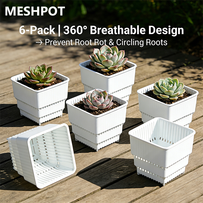 MESHPOT 6'lı Paket Kare Saksıl - Echeveria Succulent incelemesi ve fiyatı