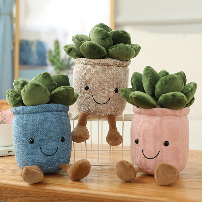 Gerçekçi Lale Sukulent Bitkile - Echeveria Succulent incelemesi ve fiyatı