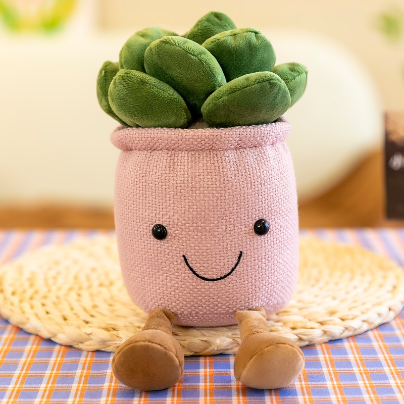 Gerçekçi Lale Sukulent Bitkile - Echeveria Succulent incelemesi ve fiyatı