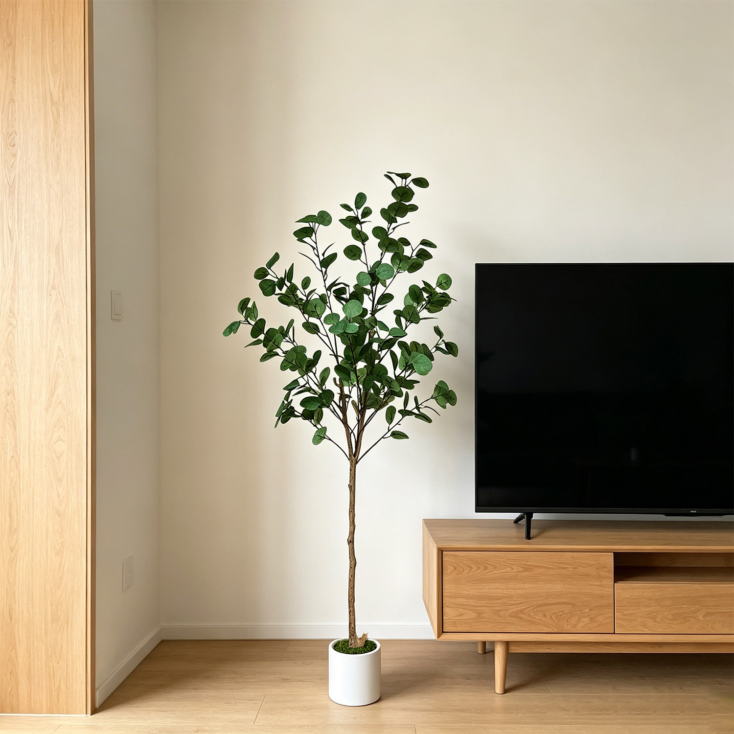 120-155Cm/5.1Ft Yapay Okaliptü - Dracaena Marginata incelemesi ve fiyatı