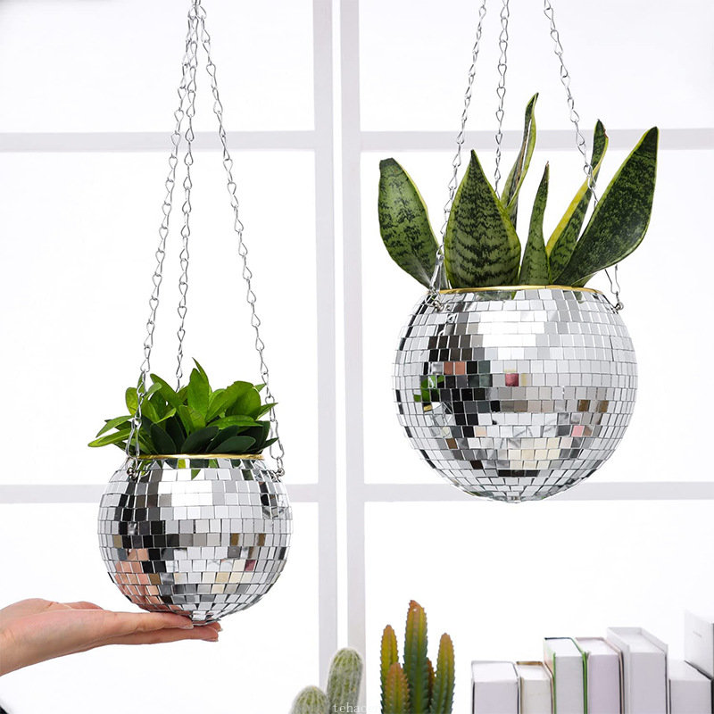 Disko Aynalı Top Asılı Çiçek S - Echeveria Succulent incelemesi ve fiyatı